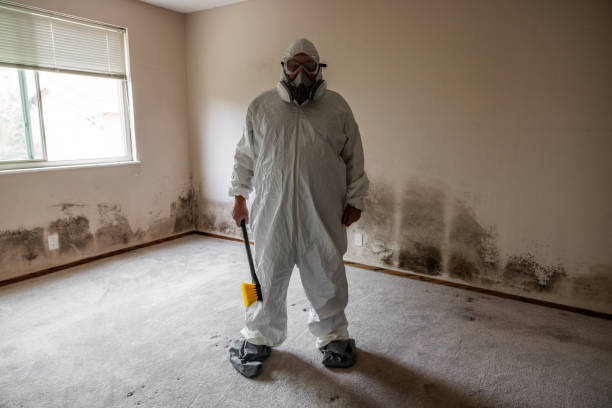 Best Commercial Mold Removal  in Wyoming, OH